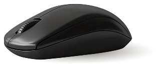 computer mouse